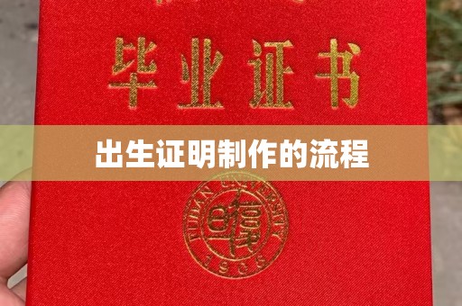 榆中出生证明制作的流程